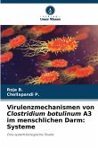 Virulenzmechanismen von Clostridium botulinum A3 im menschlichen Darm: Systeme