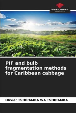 Cover PIF and bulb fragmentation methods for Caribbean cabbage