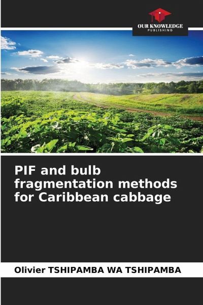 PIF and bulb fragmentation methods for Caribbean cabbage PIF and bulb fragmentation methods for Caribbean cabbage