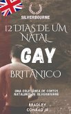 Silverbourne: 12 dias de um Natal gay britânico: Uma coletânea de contos natalinos de Silverbourne (Beyond The Game) (eBook, ePUB)