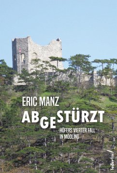 Abgestürzt: Höfers vierter Fall. Österreich-Krimi (eBook, ePUB) - Manz, Eric