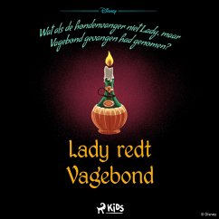 Cover Een verdraaid verhaal - Lady redt Vagebond (MP3-Download)
