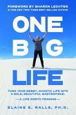 One Big Life (eBook, ePUB)
