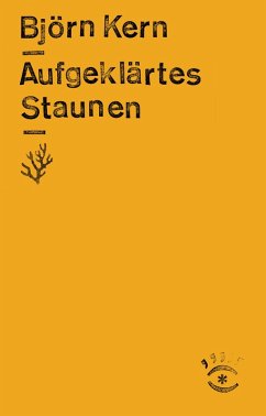 Cover Aufgeklärtes Staunen