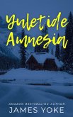 Yuletide Amnesia (eBook, ePUB)