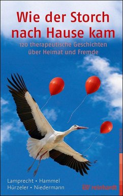 Cover Wie der Storch nach Hause kam