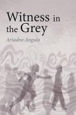 Witness in the Grey Witness in the Grey