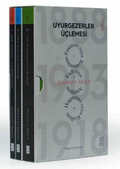 Cover Uyurgezerler Üclemesi 3 Cilt - Kutulu