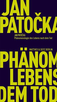 Cover Phänomenologie des Lebens nach dem Tod