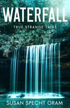 Cover Waterfall (Strangers on a Train, #8) (eBook, ePUB)