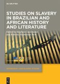 Studies on Slavery in Brazilian and African History and Literature (eBook, ePUB)