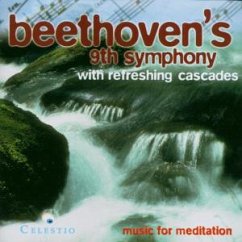Beethoven'S 9th (Meditation)