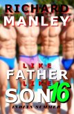 Like Father Like Son Book 16: Indian Summer (eBook, ePUB)