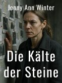 Die Kälte der Steine (eBook, ePUB)