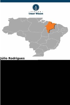 STRATEGISCHES MANAGEMENT - Rodrigues, Julio