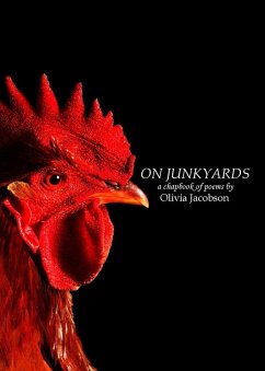 Cover On Junkyards