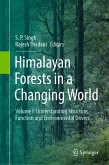 Himalayan Forests in a Changing World (eBook, PDF)