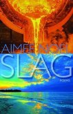 Slag (eBook, ePUB)