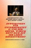 von Bruder Gbile Akanni mit Audio-Links - Anweisungen Zu Der Unverheiratet ; und der Grund, warum Gott sich auf Ihr Leben konzentriert (eBook, ePUB)
