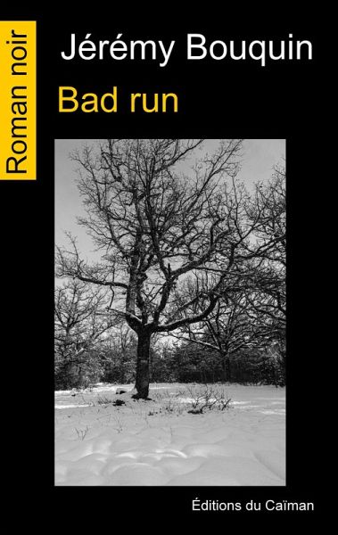 Bad run (eBook, ePUB)