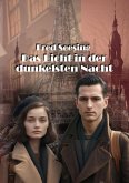 Das Licht in der dunkelste Nacht (eBook, ePUB)