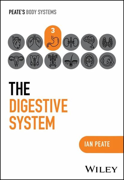 The Digestive System (eBook, ePUB)