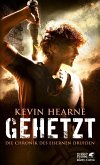 Gehetzt (eBook, ePUB)
