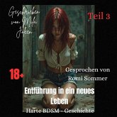 Entführung in ein neues Leben (Teil 3) (MP3-Download)