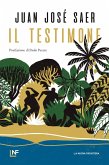 Il testimone (eBook, ePUB)