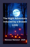 The Night Adventure Induced by a Broken Limb (eBook, ePUB)