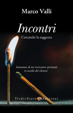 Cover Incontri (eBook, ePUB)