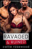Ravaged & Ruined (eBook, ePUB)