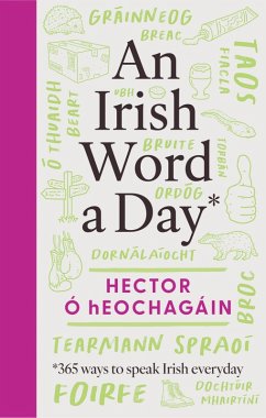 An Irish Word a Day (eBook, ePUB) - Ó hEochagáin, Hector