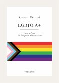 LGBTQIA+ (eBook, ePUB)