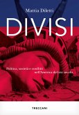 Divisi (eBook, ePUB)