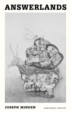 Cover Answerlands (eBook, ePUB)