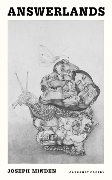 Answerlands (eBook, ePUB)