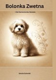 Bolonka Zwetna