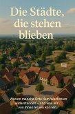 Die Städte, die stehen blieben (eBook, ePUB)