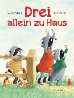 Cover Drei allein zu Haus
