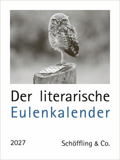 Der literarische Eulenkalender 2027 - Bachstein, Julia