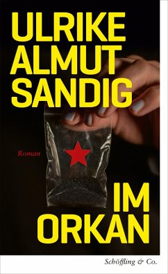 Im Orkan - Sandig, Ulrike Almut