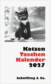 Katzen Taschenkalender 2027