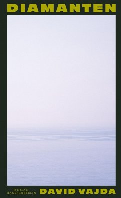 Cover Diamanten (eBook, ePUB)