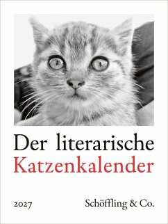 Der literarische Katzenkalender 2027 - Bachstein, Julia