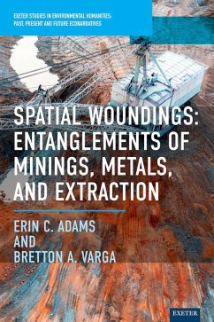 Cover Spatial Woundings (eBook, ePUB)