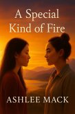 A Special Kind of Fire (eBook, ePUB)