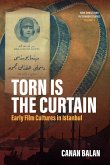 Torn is the Curtain (eBook, PDF)
