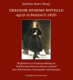Theodor Storms Novelle Aquis submersus (1876) (eBook, PDF)