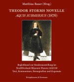 Theodor Storms Novelle Aquis submersus (1876) (eBook, PDF)